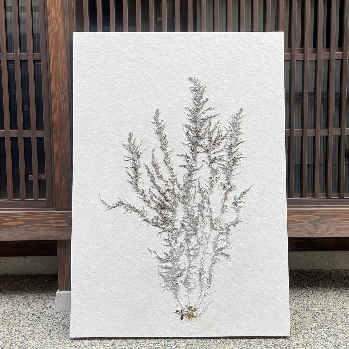 Art Panel size A0 Seaweed