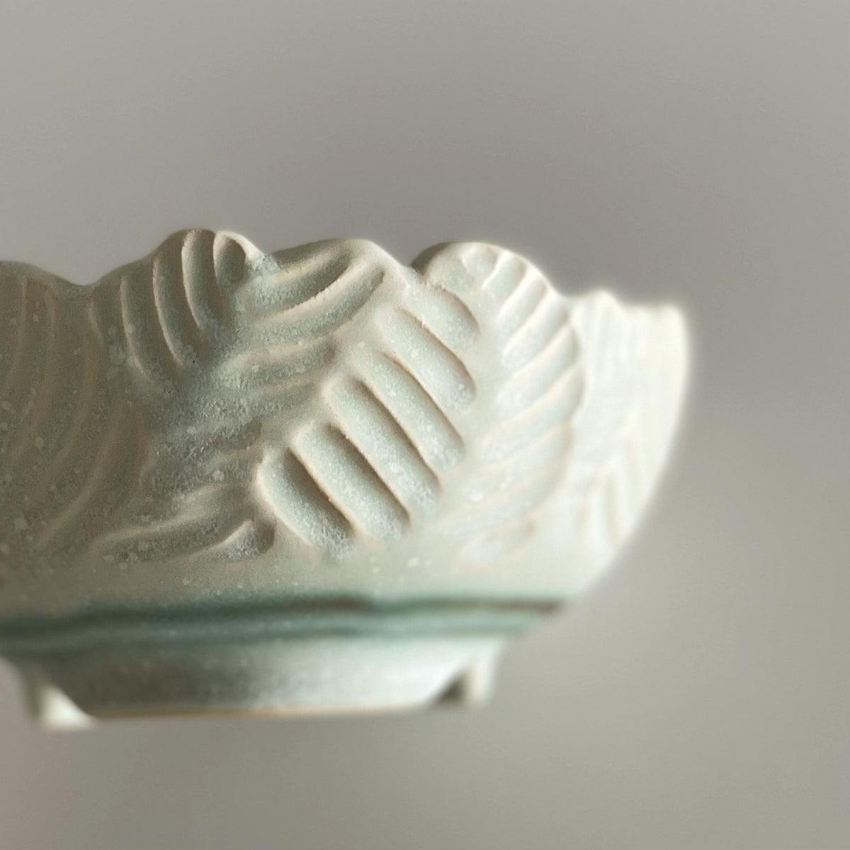 ~ Hanashinogi ~ Cereal Bowl
