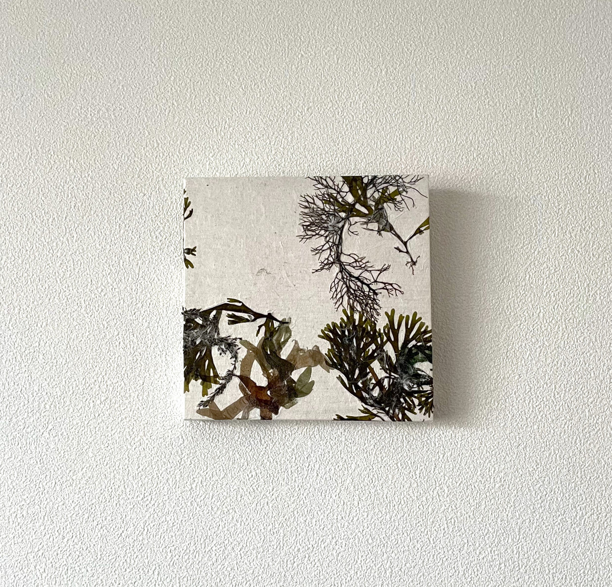 Art Panel Square (15cmx15cm) Seaweed